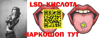 шишки Можга