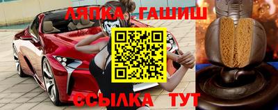 шишки Можга